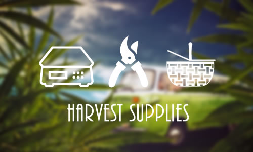 Cannabis Harvest Supplies