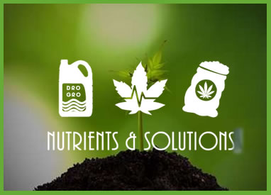 Shop Pot Grow Nutrients & Solutions