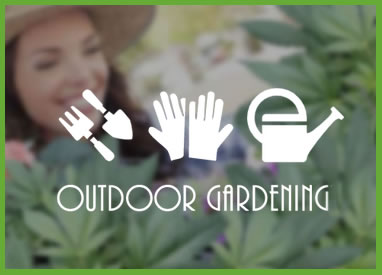 Outdoor Gardening Category