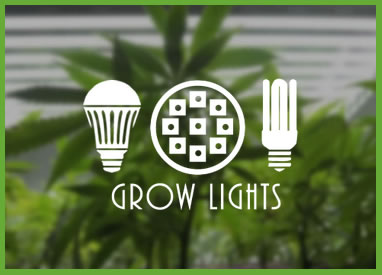 Shop Cannabis Grow Lights & Supplies