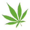 Cannabis Grow Supplies