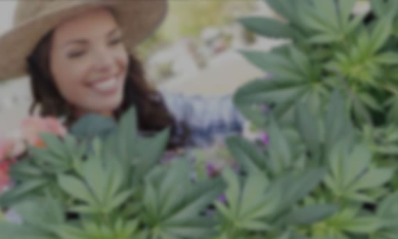 Outdoor Marijuana Grow Supplies